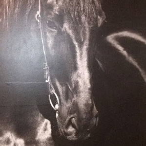 Meet your Posher, Chloe